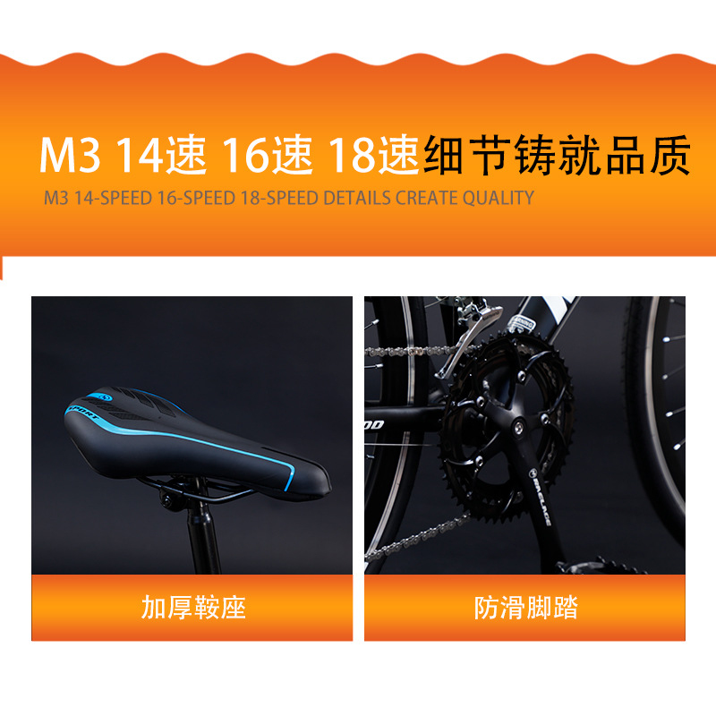 Lightweight Road Bike 21 Speed - Cycling Commute Gear 评论和价格